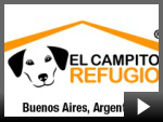 El Campito Refugio - Institucional